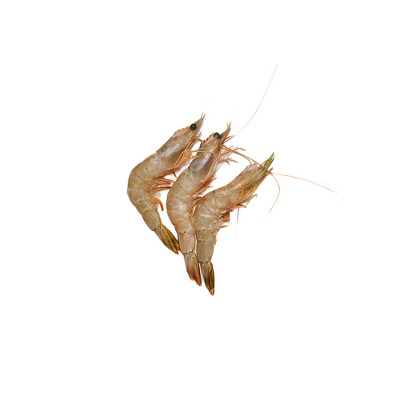 Frozen Head on Shrimps Medium