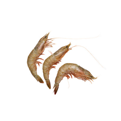 Frozen Head on Shrimps Jumbo